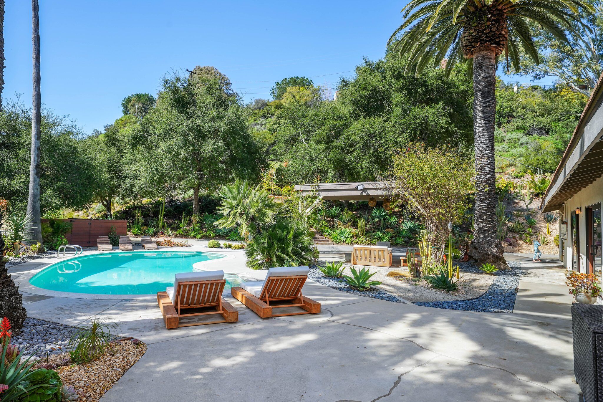 Pool deck with teak loungers beneath towering palms