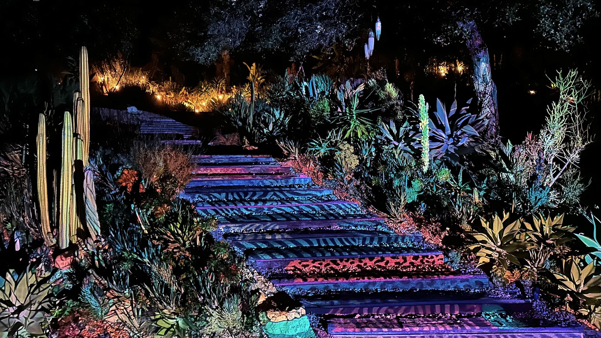Garden steps projection-mapped in vivid patterns of violet, blue, and coral at night